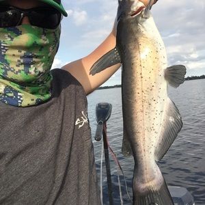 Meet your Posher, Matthew